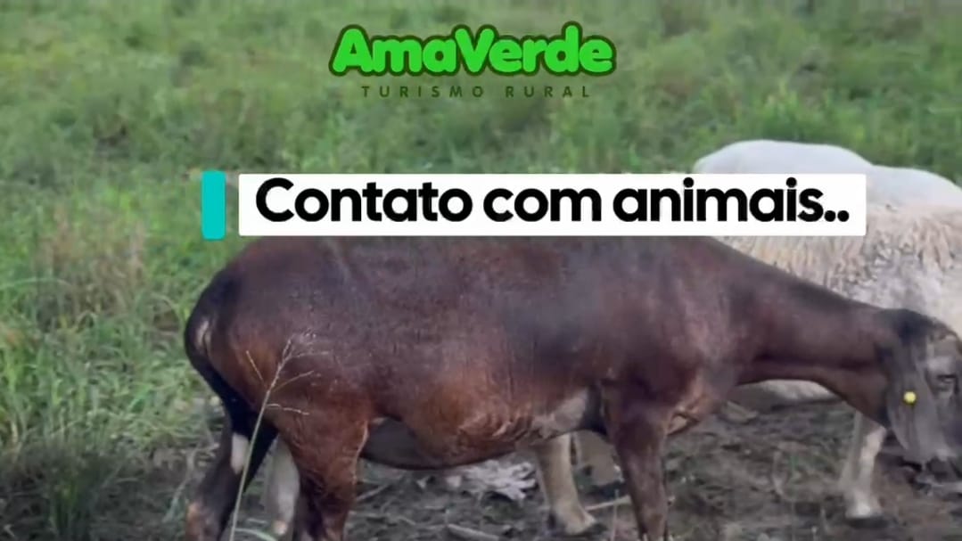 Foto 6 de AMAVERDETURISMORURAL